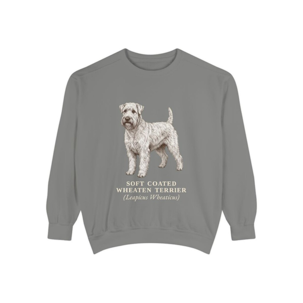 Soft Coated Wheaten Terrier Latin Sweatshirt, Grey, front view
