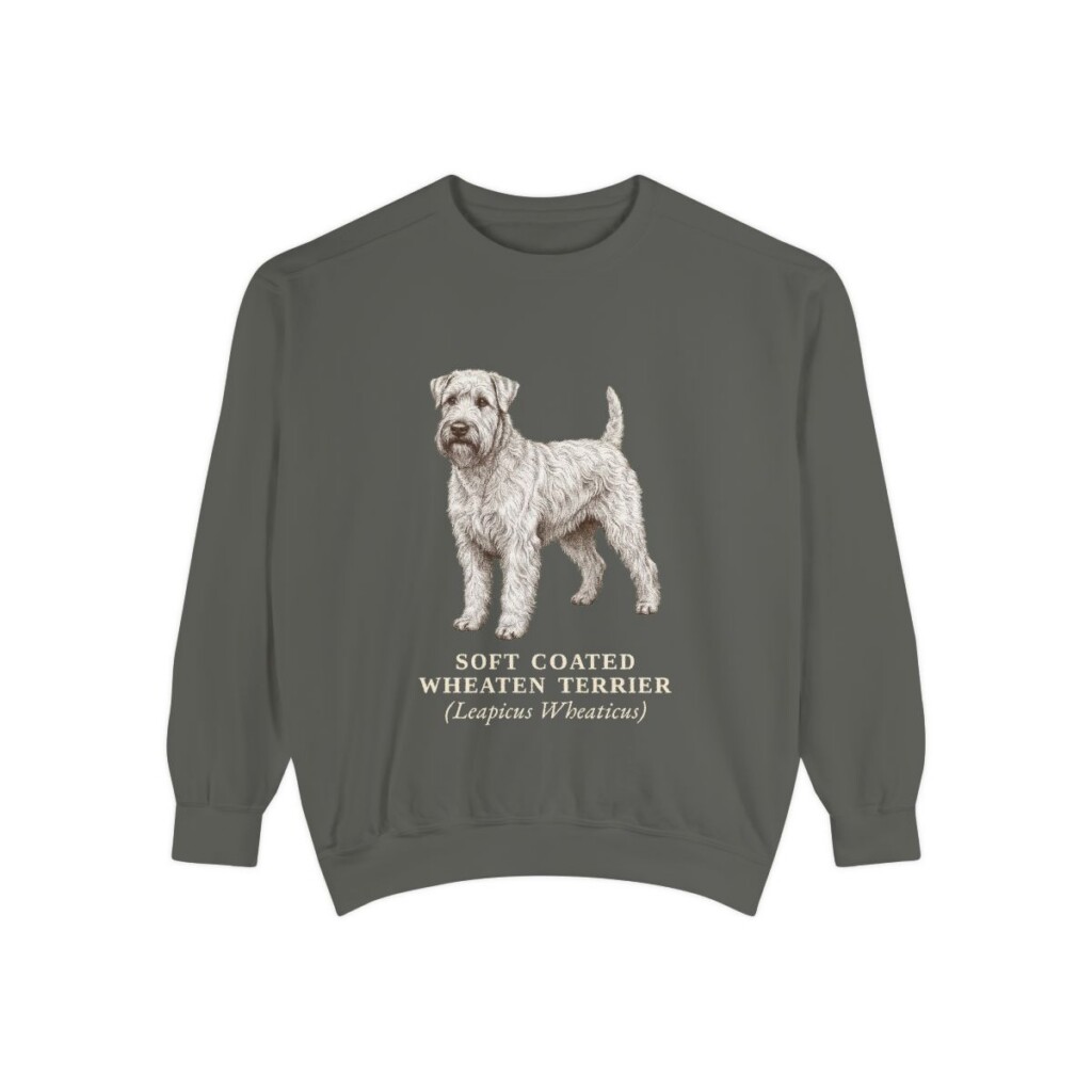 Soft Coated Wheaten Terrier Latin Sweatshirt, Pepper, front view