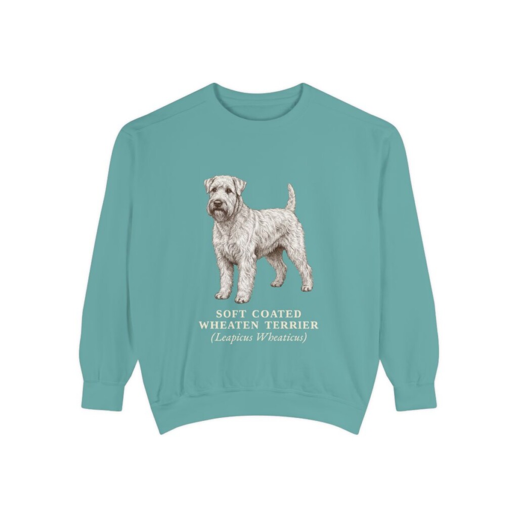 Soft Coated Wheaten Terrier Latin Sweatshirt, Seafoam, front view