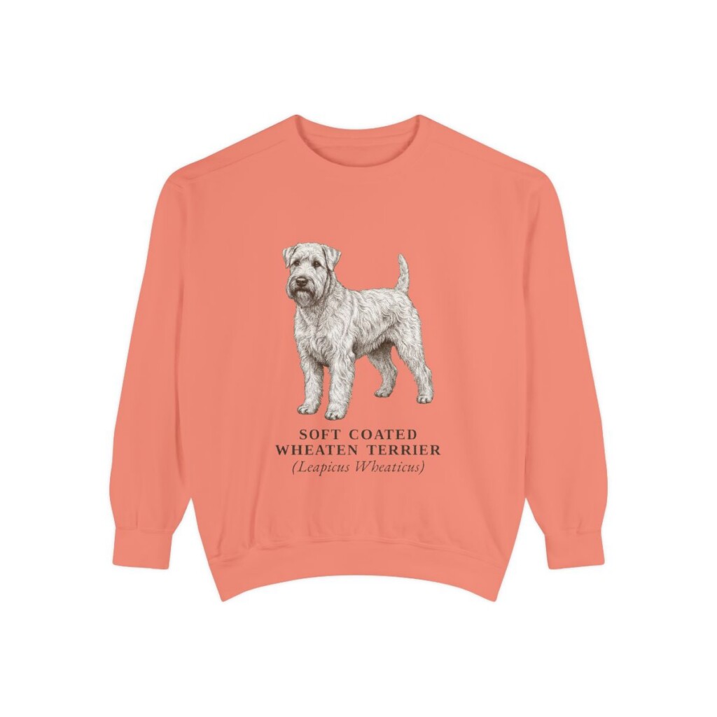 Soft Coated Wheaten Terrier Latin Sweatshirt, Terracotta, front view