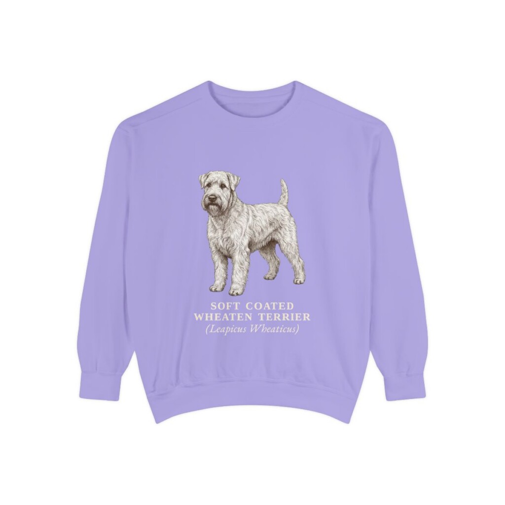 Soft Coated Wheaten Terrier Latin Sweatshirt, Violet, front view