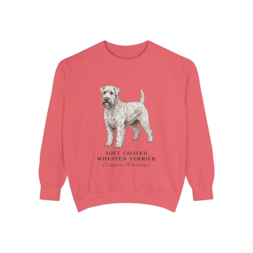 Soft Coated Wheaten Terrier Latin Sweatshirt, Watermelon, front view