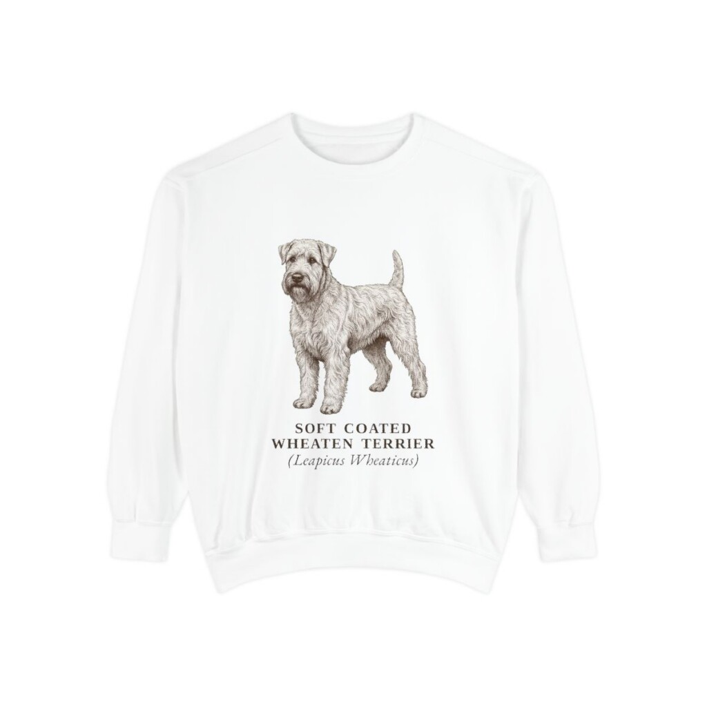 Soft Coated Wheaten Terrier Latin Sweatshirt, White, front view