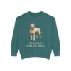 Spanish Water Dog Sweatshirt, Blue Spruce, front view