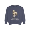 Spanish Water Dog Sweatshirt, Denim, front view