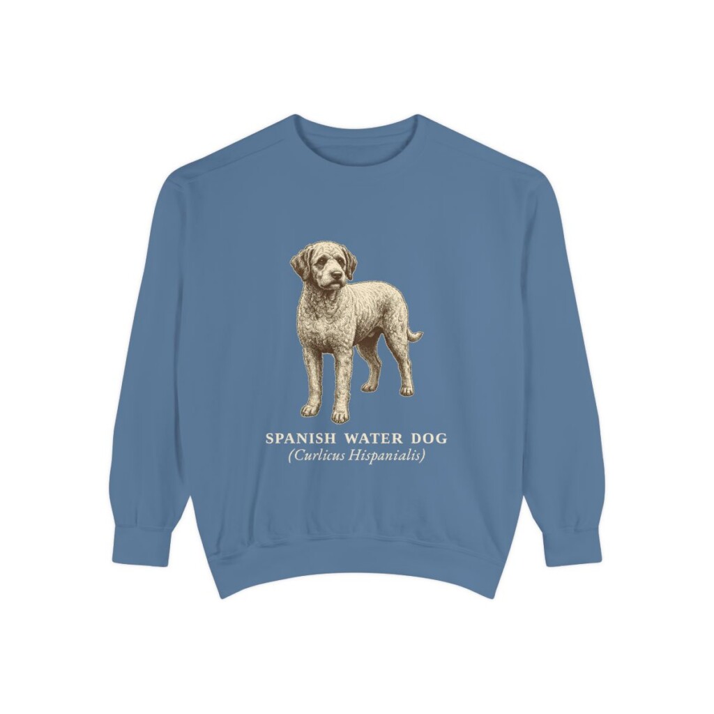Spanish Water Dog Latin Sweatshirt, Blue Jean, front view