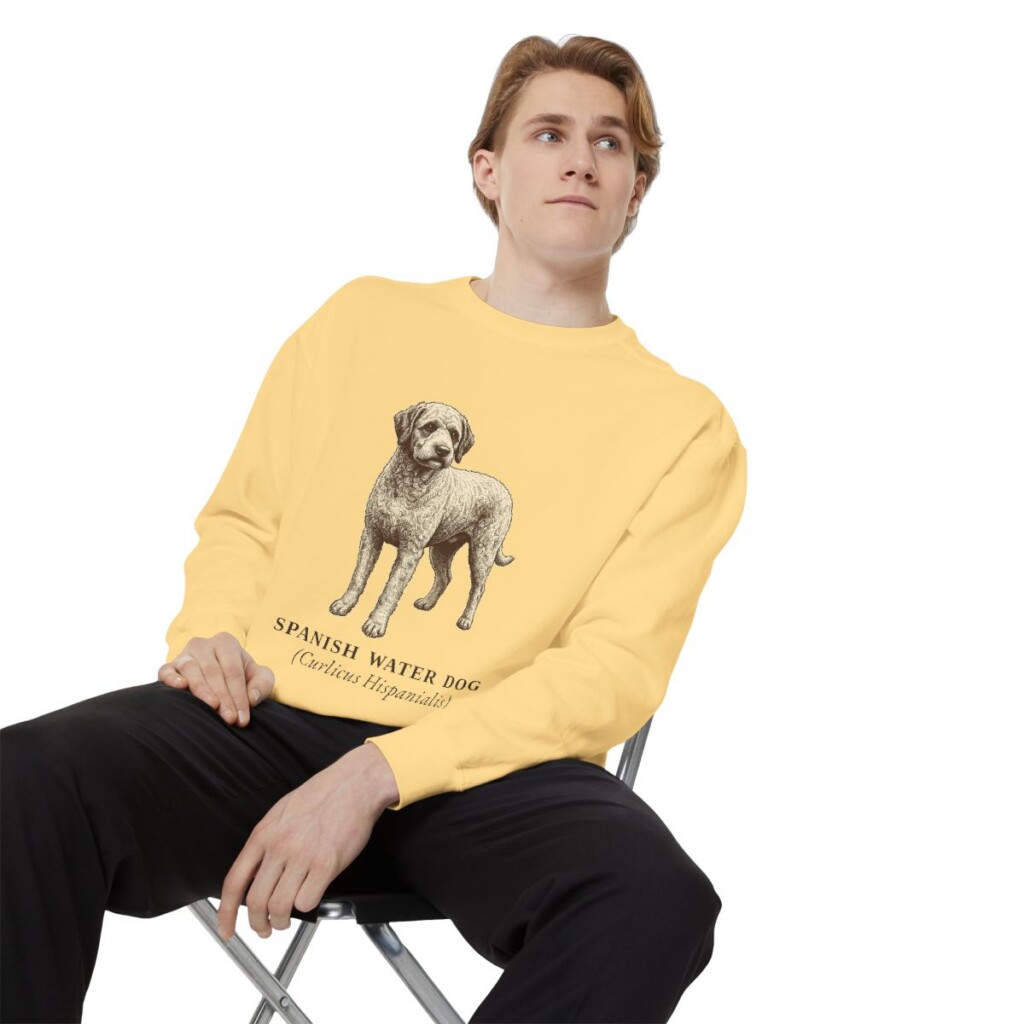 Spanish Water Dog Latin Sweatshirt, Butter, person 1 context