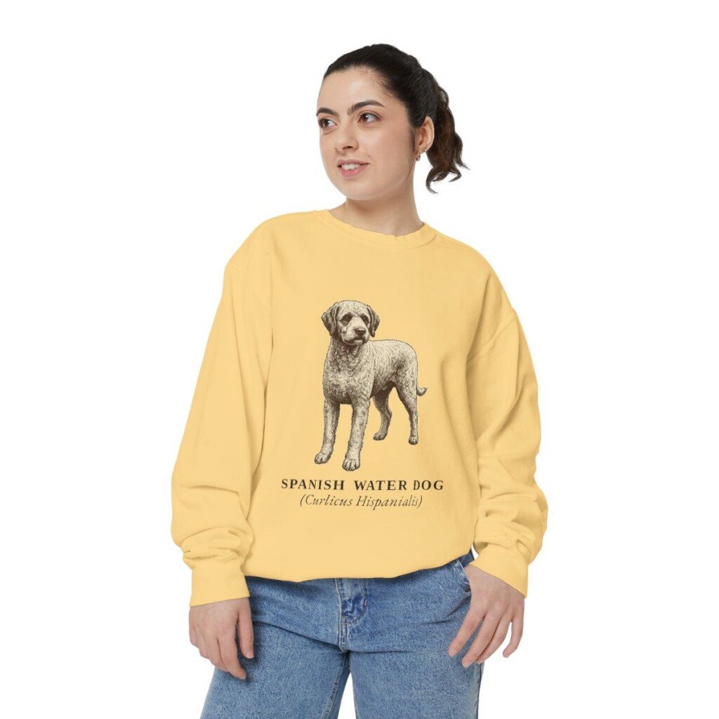 Spanish Water Dog Latin Sweatshirt, Butter, person 2 front