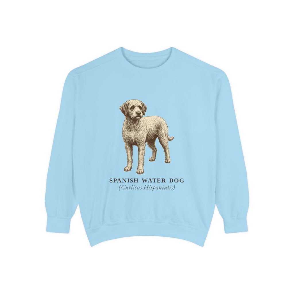 Spanish Water Dog Latin Sweatshirt, Chambray, front view