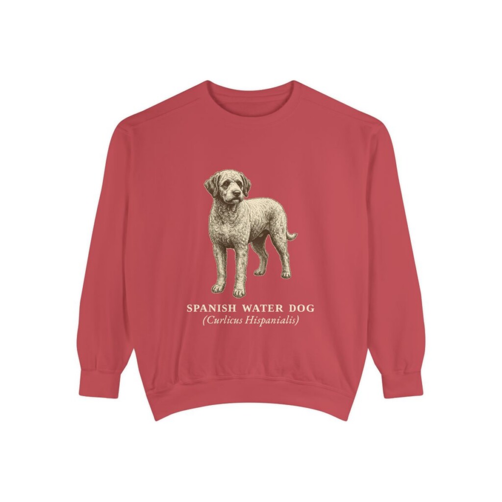 Spanish Water Dog Latin Sweatshirt, Crimson, front view
