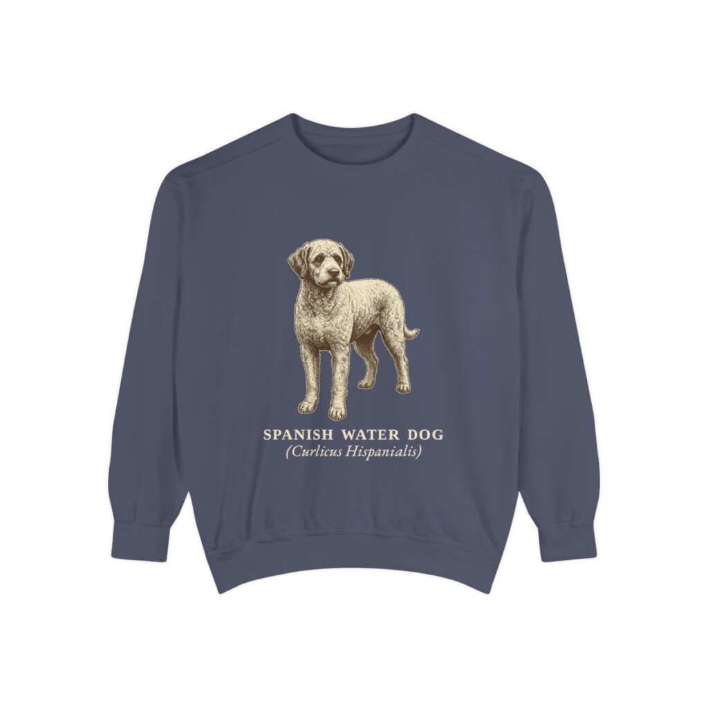 Spanish Water Dog Latin Sweatshirt, Denim, front view