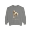 Spanish Water Dog Latin Sweatshirt, Grey, front view