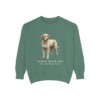 Spanish Water Dog Latin Sweatshirt, Light Green, front view