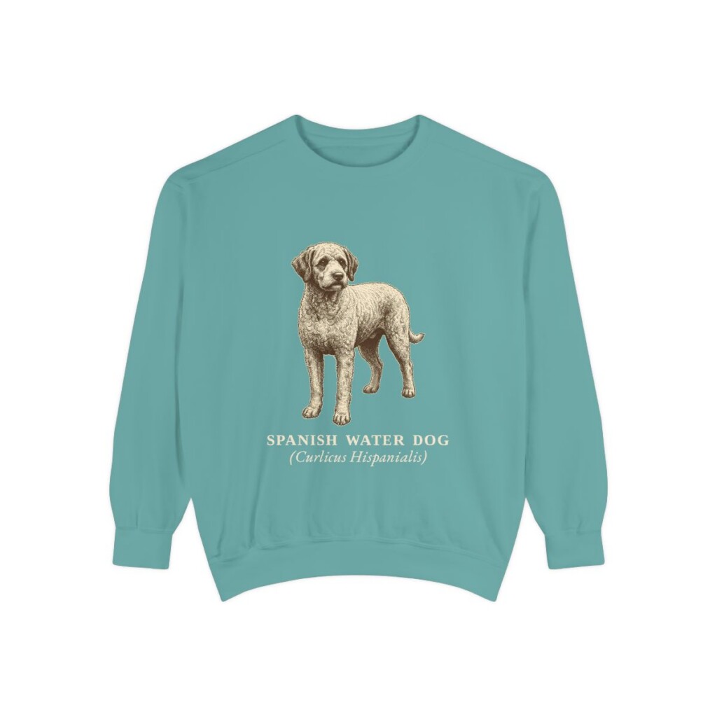 Spanish Water Dog Latin Sweatshirt, Seafoam, front view