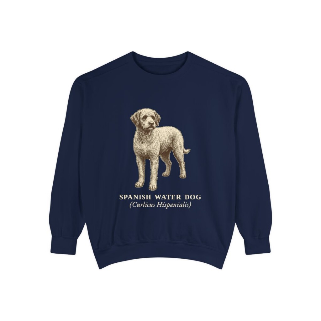 Spanish Water Dog Latin Sweatshirt, True Navy, front view