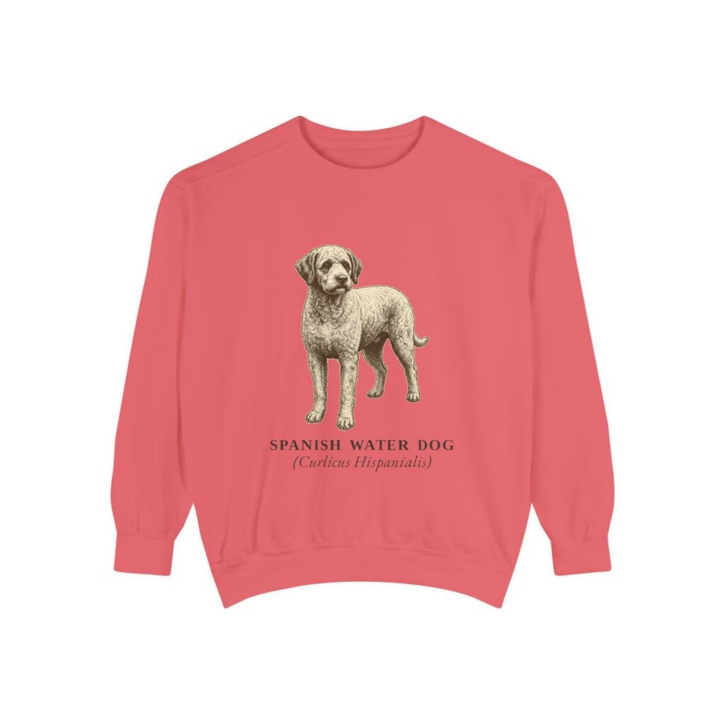Spanish Water Dog Latin Sweatshirt, Watermelon, front view