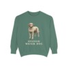 Spanish Water Dog Sweatshirt, Light Green, front view