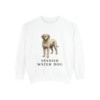 Spanish Water Dog Sweatshirt, White, front view