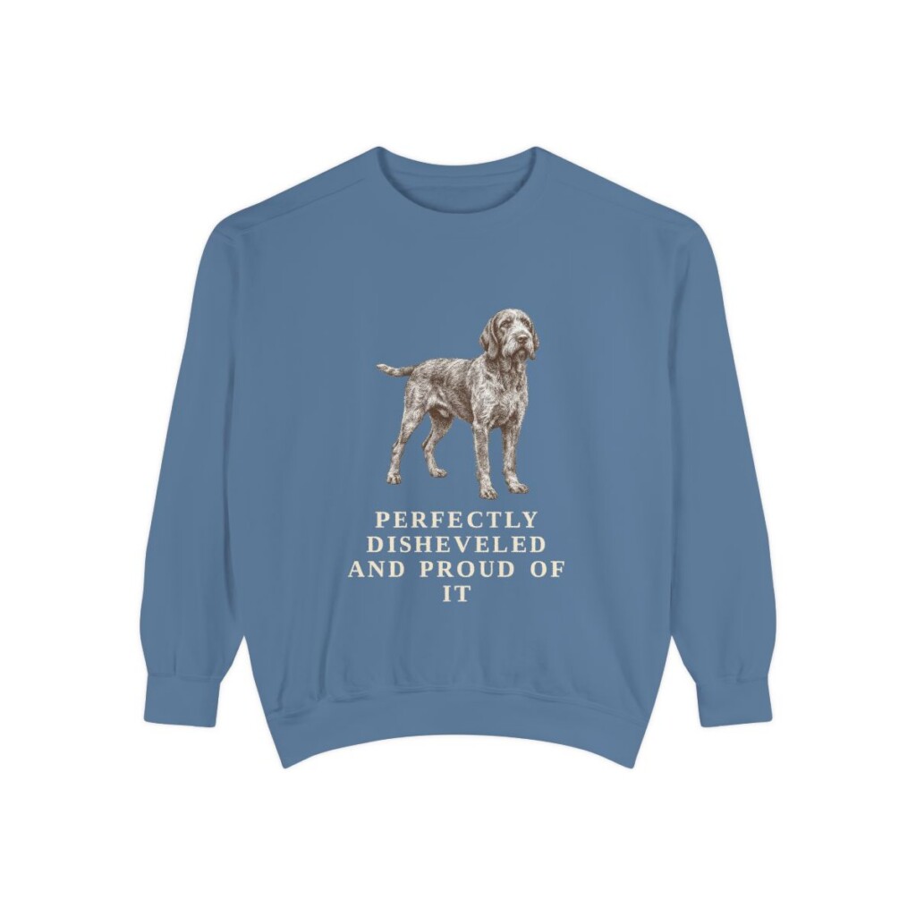 Spinone Italiano Humor Sweatshirt, Blue Jean, front view