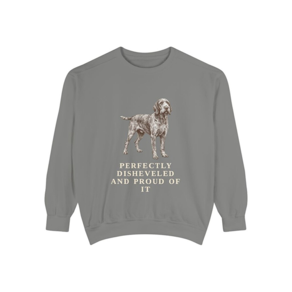 Spinone Italiano Humor Sweatshirt, Grey, front view