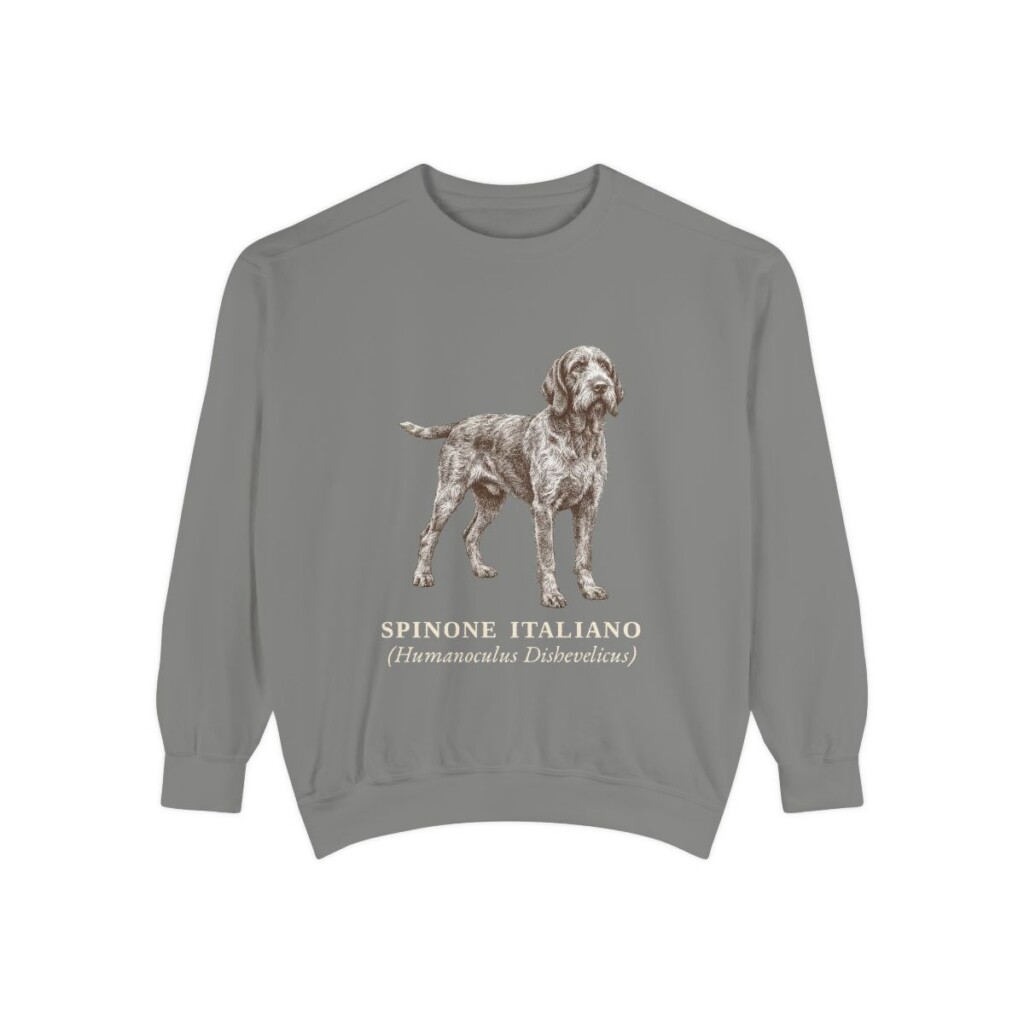 Spinone Italiano Latin Sweatshirt, Grey, front view