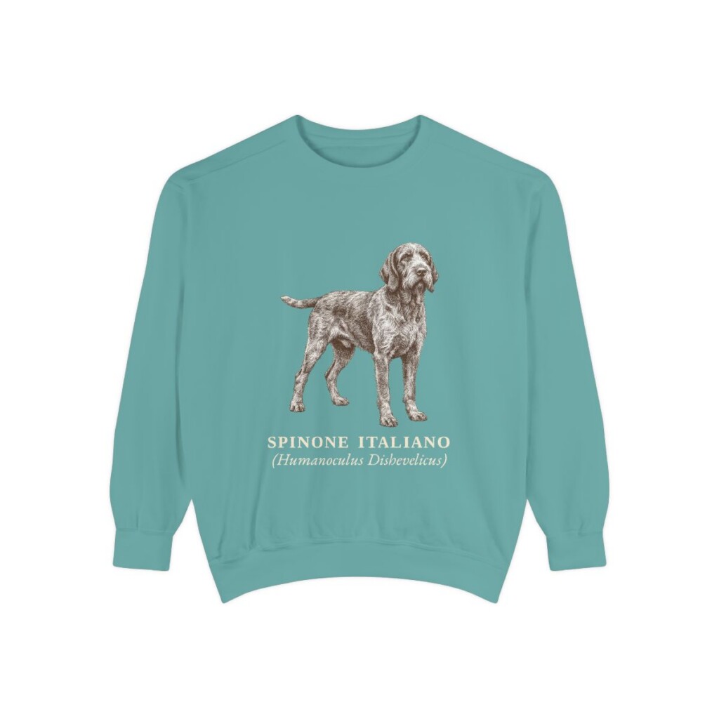 Spinone Italiano Latin Sweatshirt, Seafoam, front view
