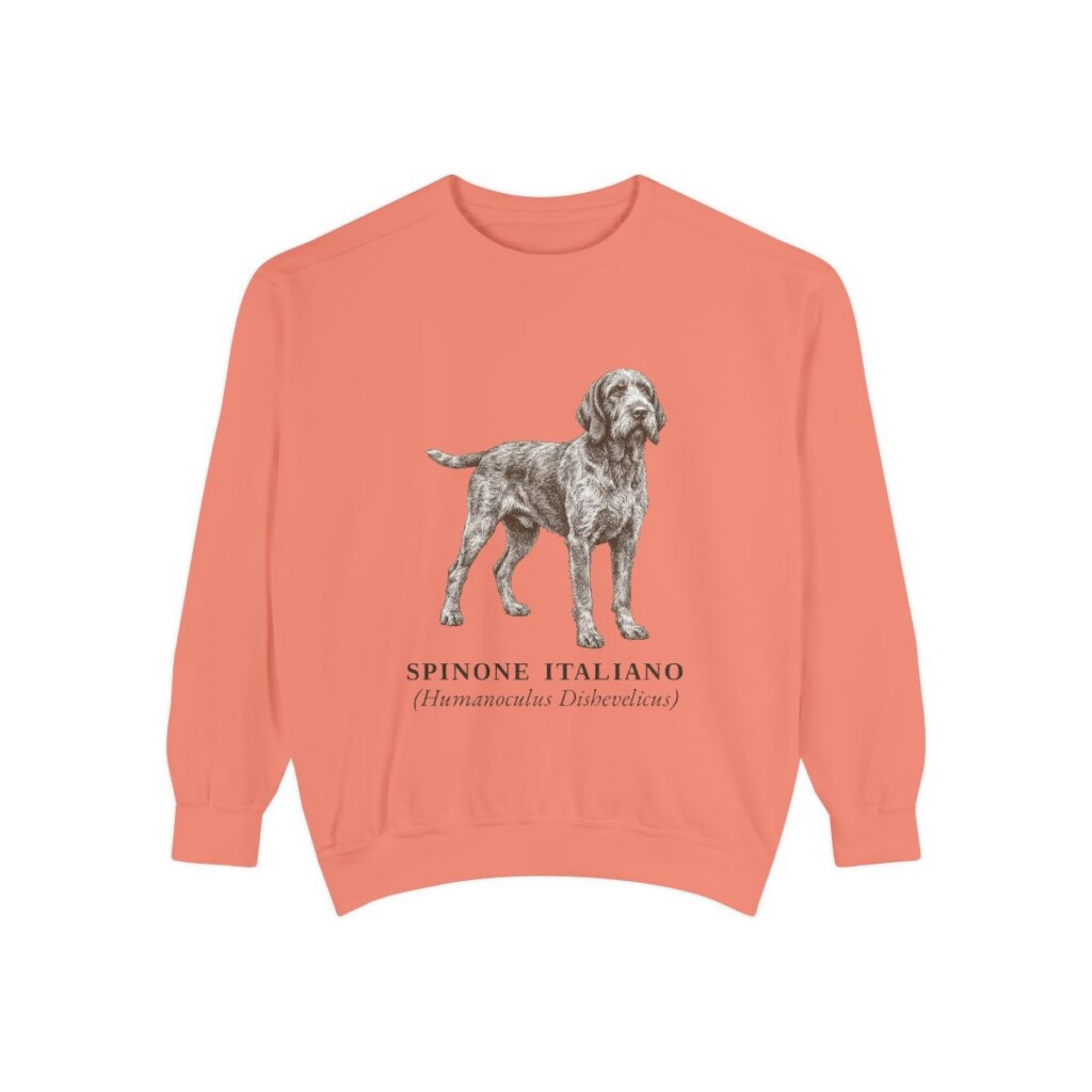 Spinone Italiano Latin Sweatshirt, Terracotta, front view