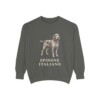 spinone-italiano-sweatshirt-pepper Spinone Italiano Sweatshirt, Pepper, front view