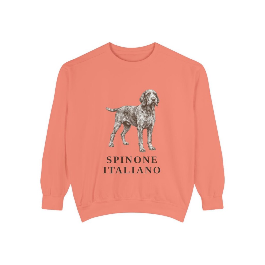 spinone-italiano-sweatshirt-terracotta Spinone Italiano Sweatshirt, Terracotta, front view