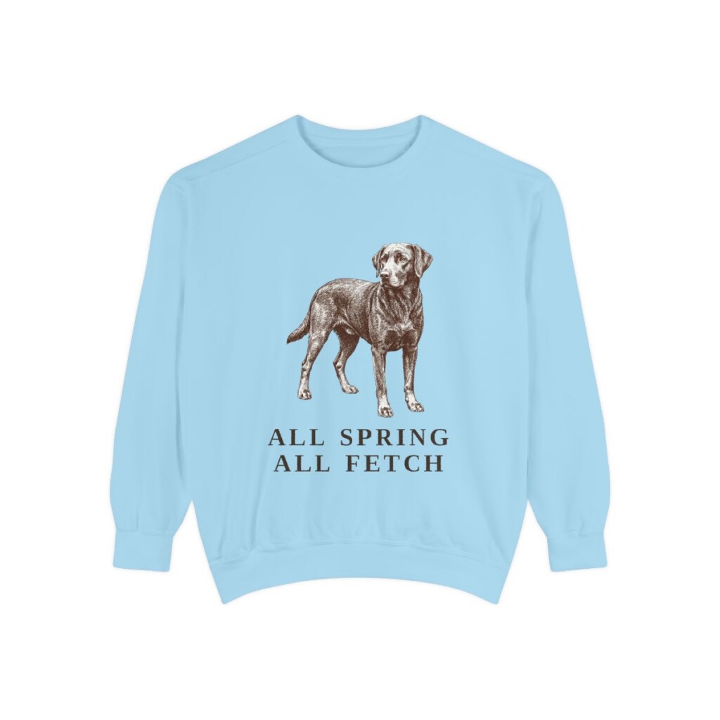 Springador Humor Sweatshirt, Chambray, front view