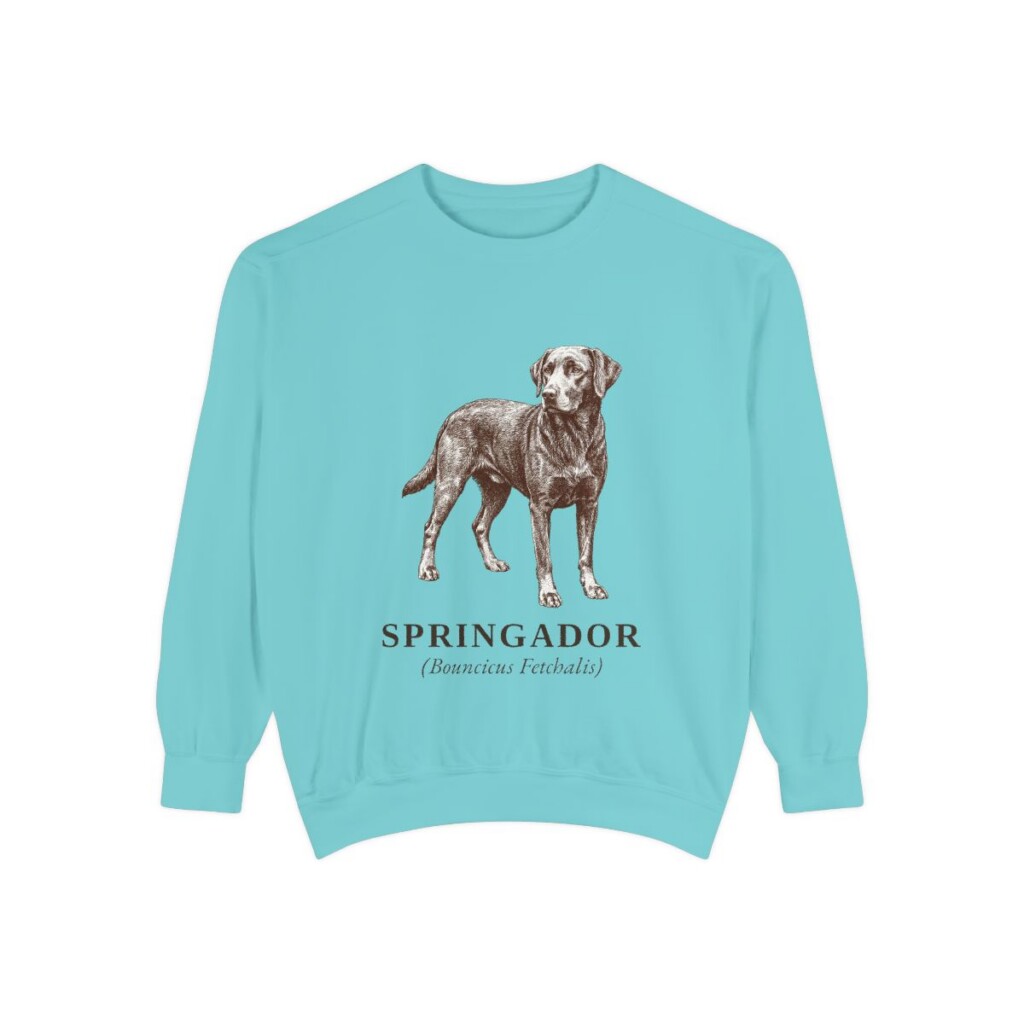 springador-sweatshirt-latin-chalky-mint Springador Latin Sweatshirt, Chalky Mint, front view
