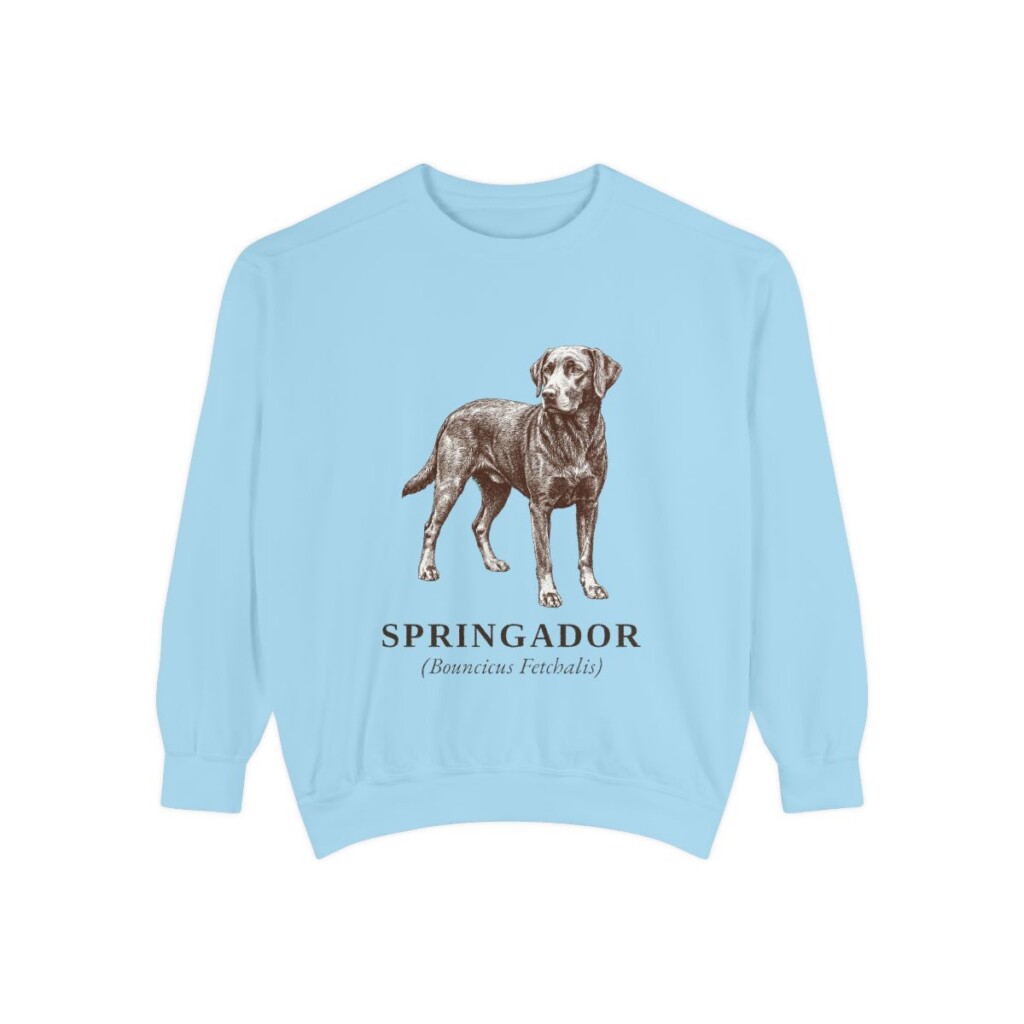 springador-sweatshirt-latin-chambray Springador Latin Sweatshirt, Chambray, front view