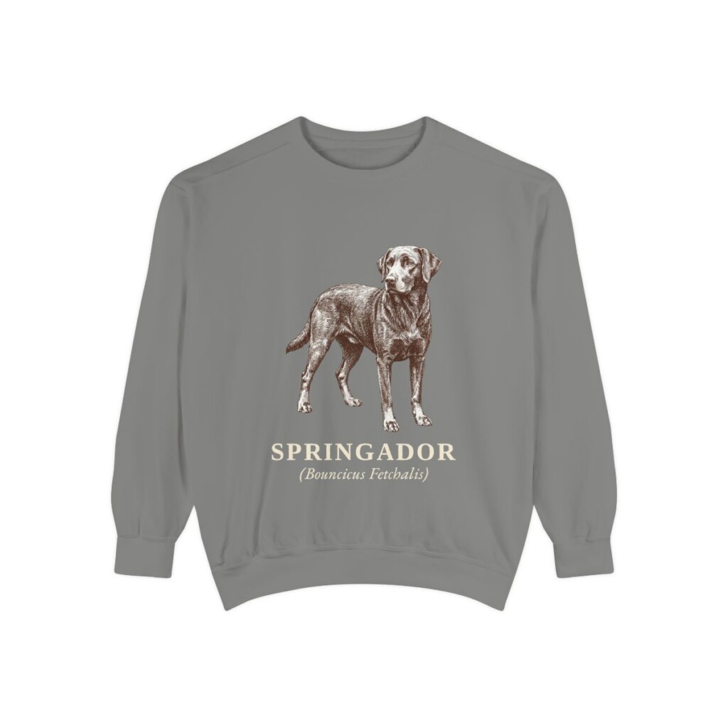 springador-sweatshirt-latin-grey Springador Latin Sweatshirt, Grey, front view