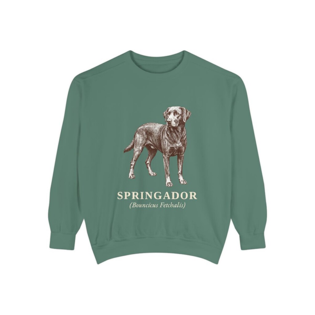 springador-sweatshirt-latin-light-green Springador Latin Sweatshirt, Light Green, front view