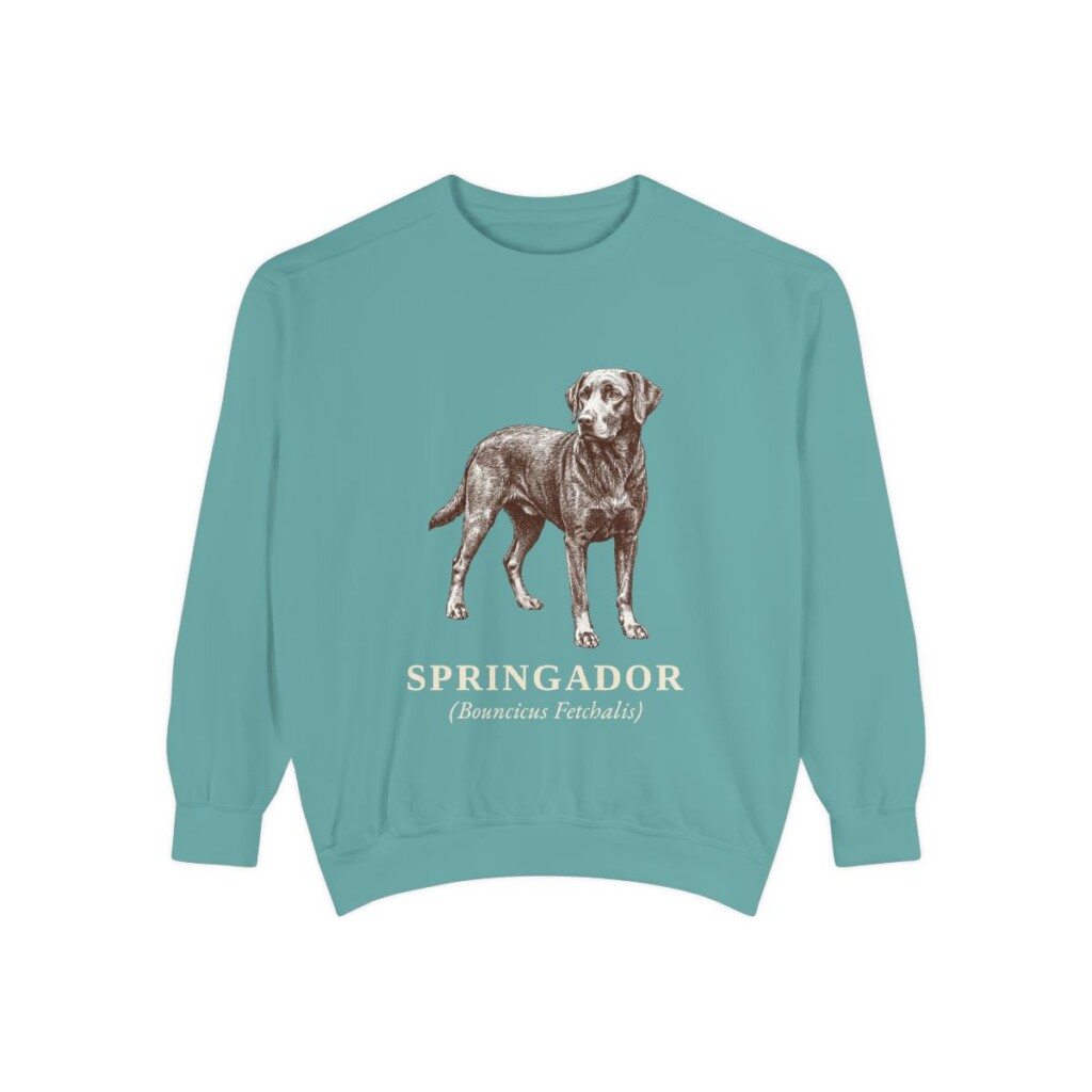 springador-sweatshirt-latin-seafoam Springador Latin Sweatshirt, Seafoam, front view