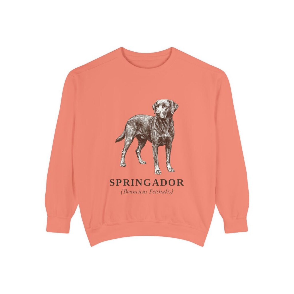 springador-sweatshirt-latin-terracotta Springador Latin Sweatshirt, Terracotta, front view