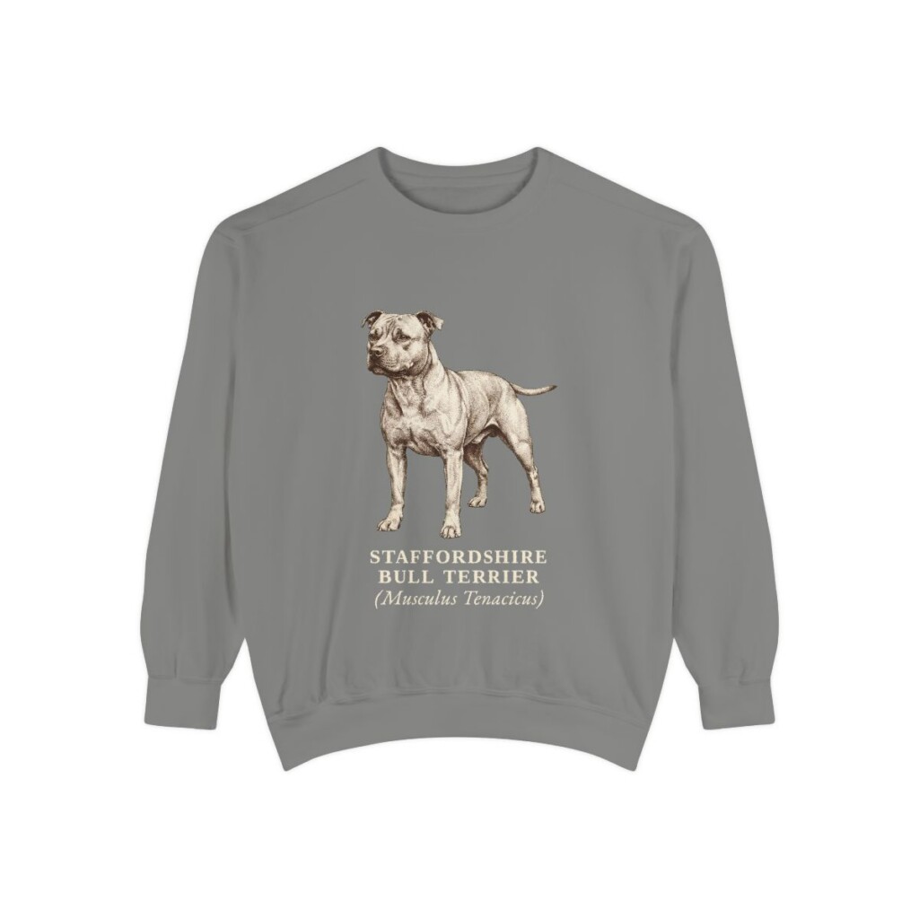 staffordshire-bull-terrier-sweatshirt-latin-grey Staffordshire Bull Terrier Latin Sweatshirt, Grey, front view