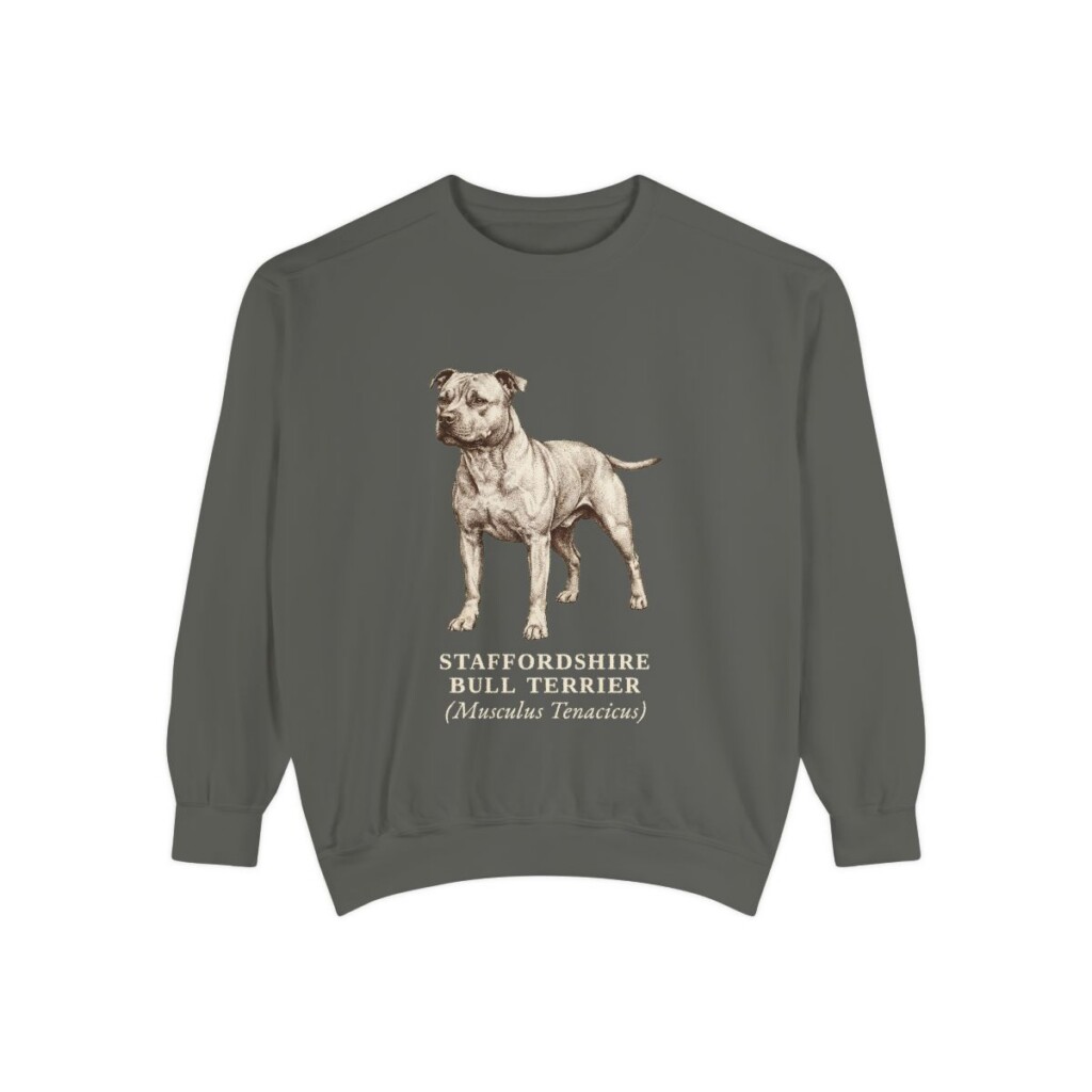 staffordshire-bull-terrier-sweatshirt-latin-pepper Staffordshire Bull Terrier Latin Sweatshirt, Pepper, front view