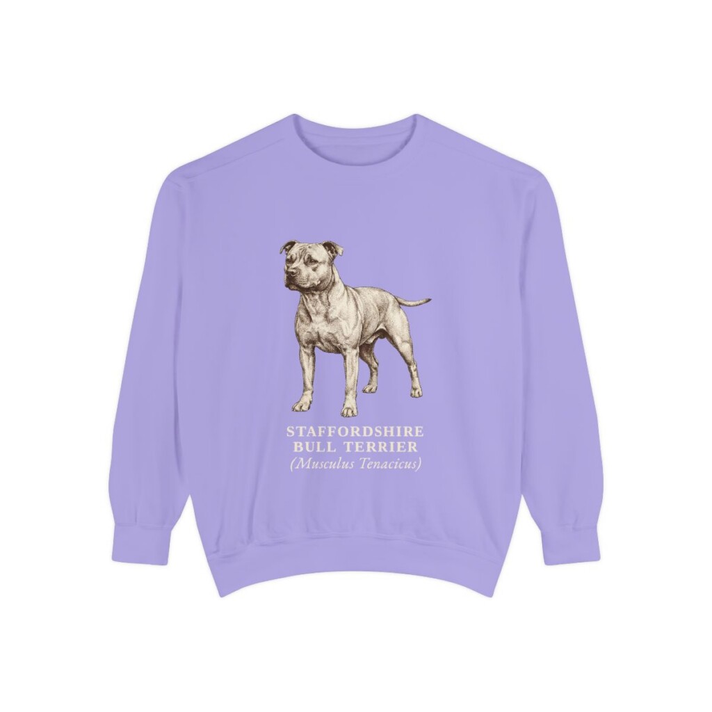 staffordshire-bull-terrier-sweatshirt-latin-violet Staffordshire Bull Terrier Latin Sweatshirt, Violet, front view