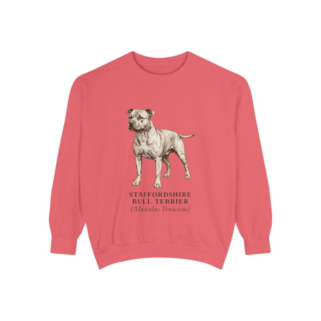 staffordshire-bull-terrier-sweatshirt-latin-watermelon Staffordshire Bull Terrier Latin Sweatshirt, Watermelon, front view