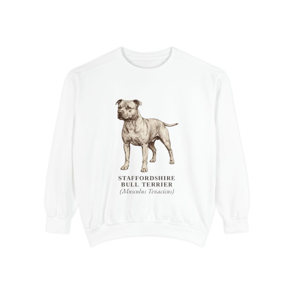 staffordshire-bull-terrier-sweatshirt-latin-white Staffordshire Bull Terrier Latin Sweatshirt, White, front view