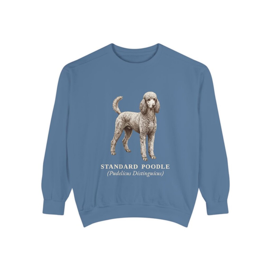 Standard Poodle Latin Sweatshirt, Blue Jean, front view