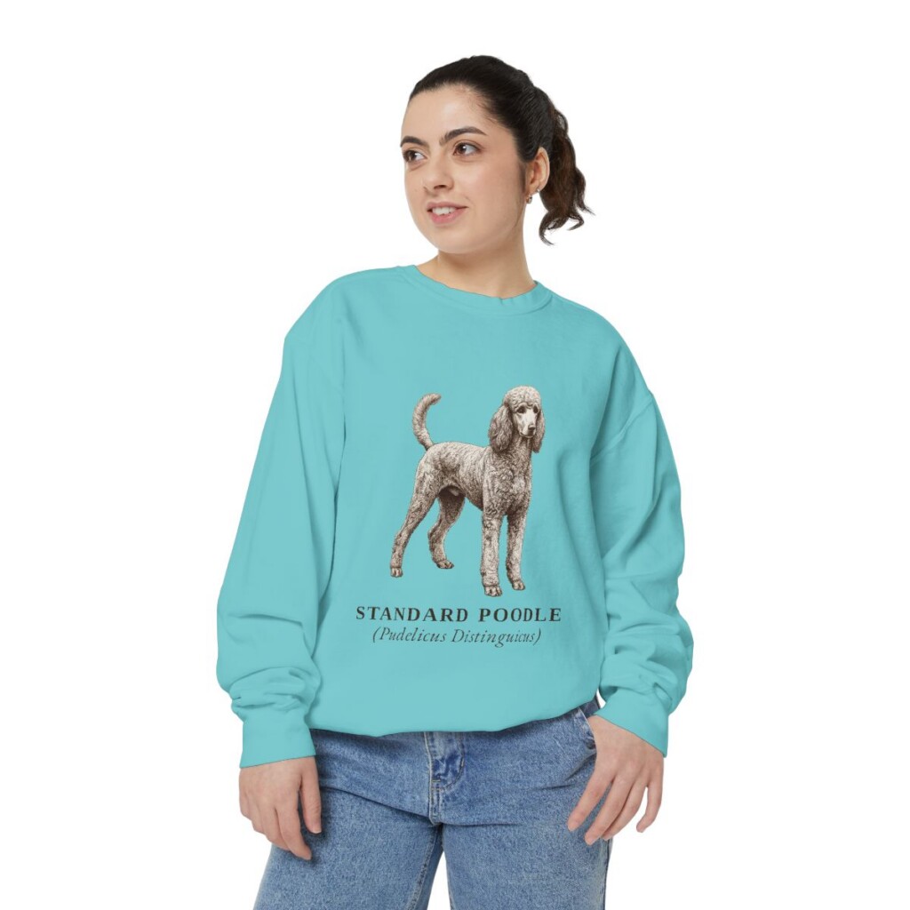 Standard Poodle Latin Sweatshirt, Chalky Mint, person 2 front