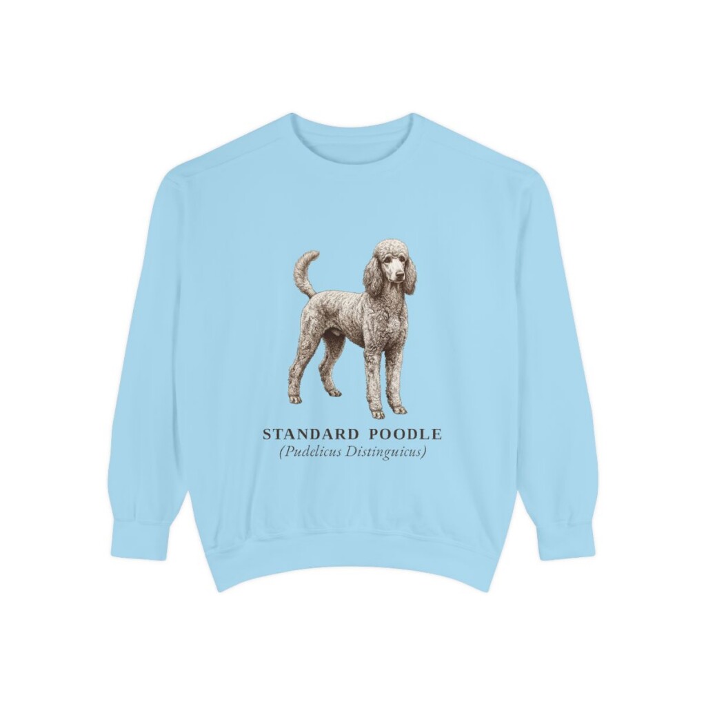 Standard Poodle Latin Sweatshirt, Chambray, front view