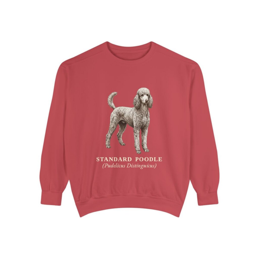 Standard Poodle Latin Sweatshirt, Crimson, front view