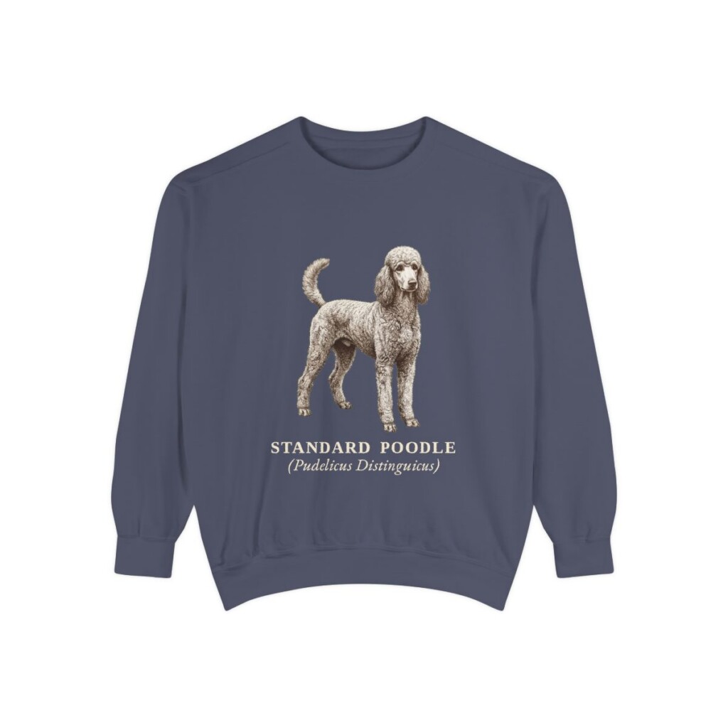 Standard Poodle Latin Sweatshirt, Denim, front view