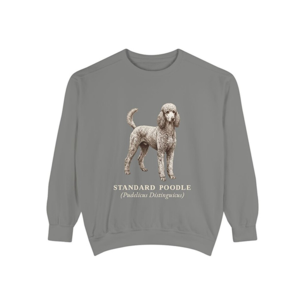 Standard Poodle Latin Sweatshirt, Grey, front view
