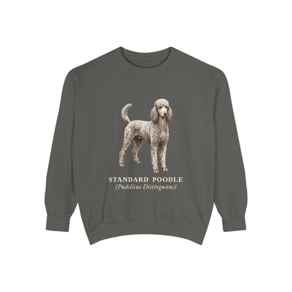 Standard Poodle Latin Sweatshirt, Pepper, front view