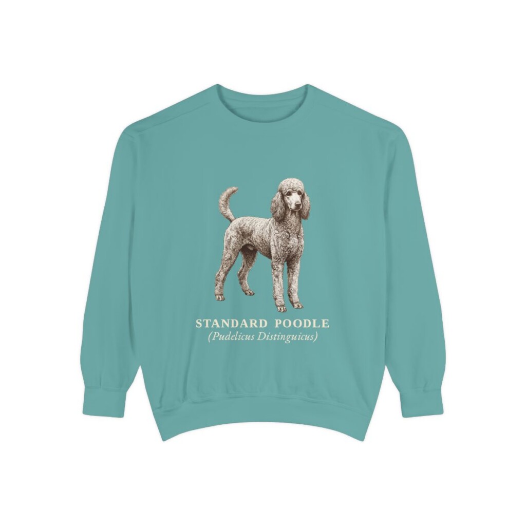 Standard Poodle Latin Sweatshirt, Seafoam, front view