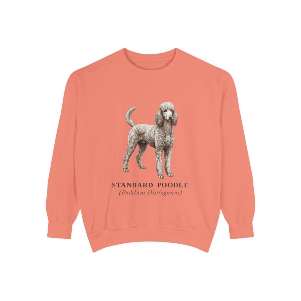 Standard Poodle Latin Sweatshirt, Terracotta, front view